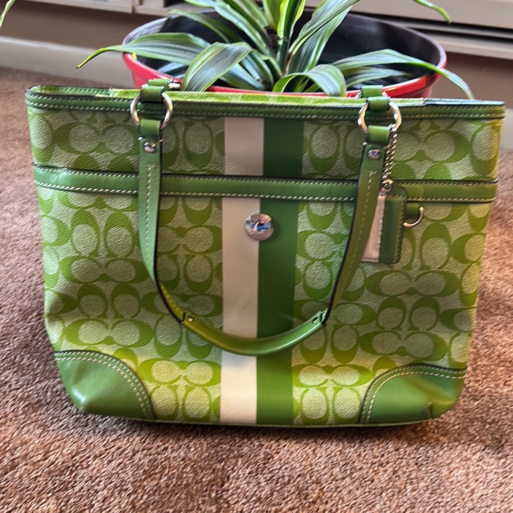 Coach Signature Stripe Green Handbag